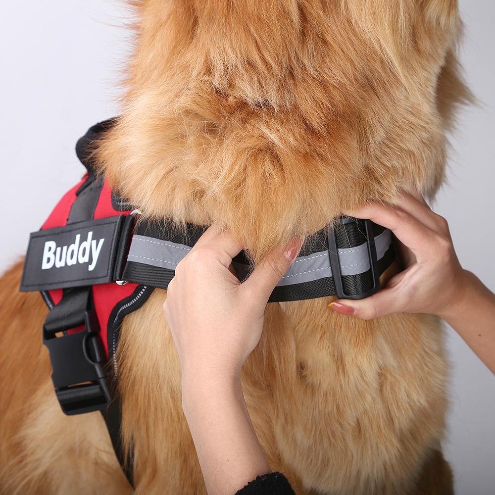 SAPHIRA™ - CUSTOM FIT NO-PULL DOG HARNESS