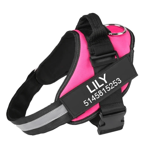 SAPHIRA™ - CUSTOM FIT NO-PULL DOG HARNESS