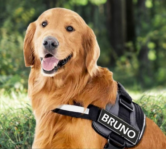 SAPHIRA™   - CUSTOM FIT NO-PULL DOG HARNESS